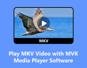 Los 10 mejores reproductores MKV gratuitos para reproducir vídeos MKV