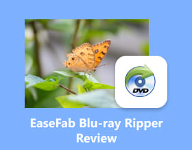 Comprehensive Review Of Easefab Blu Ray Ripper In