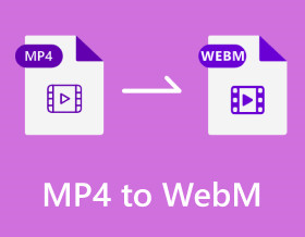 How To Convert Mp To Webm Converters For Windows Mac