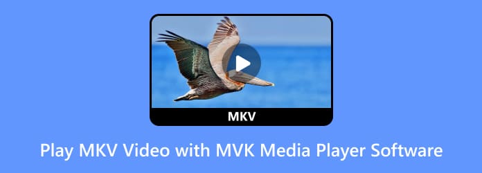 OmniPlayer MKV Video Player for windows download