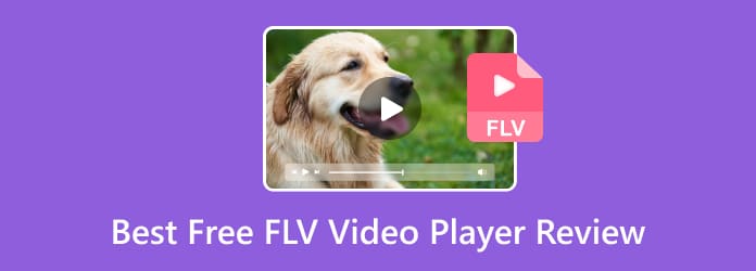 Meilleur examen du lecteur vidéo FLV gratuit