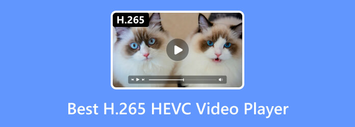 Nejlepší videopřehrávač H.265 HEVC