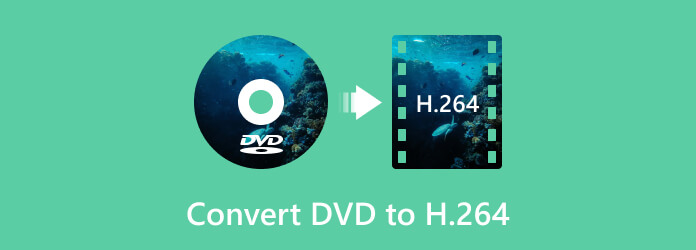 Converteer dvd naar H.264