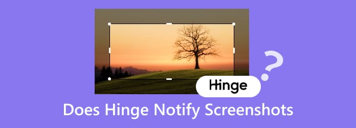 Does Hinge Notify Screenshots