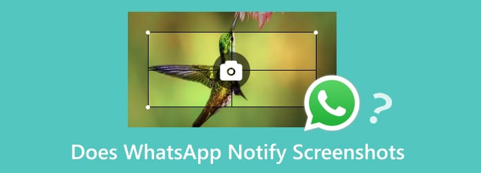 WhatsApp notifica gli screenshot