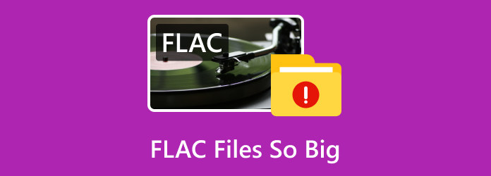 File FLAC così grandi