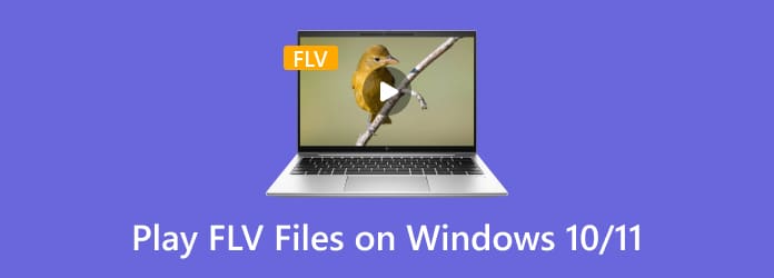 best .flv player for windows 10