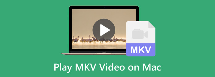 Mac'te MKV Videosunu Oynat