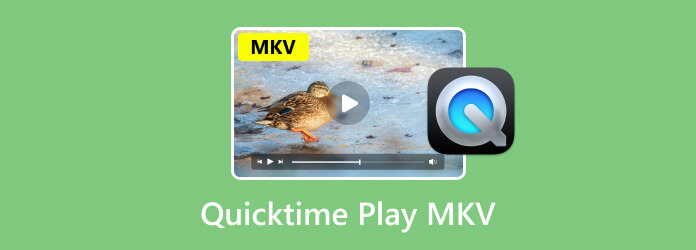 perian quicktime component