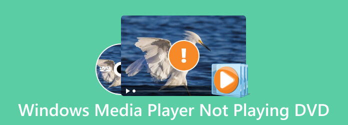 Windows Media Player non riproduce il DVD