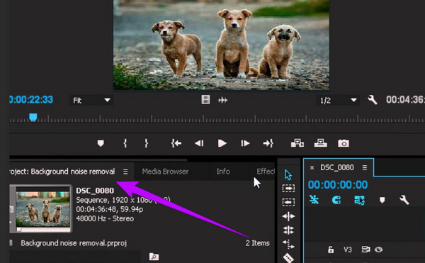 Premiere Pro remover ruído de fundo