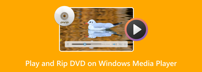 Abspielen und Rippen von DVDs mit Windows Media Player