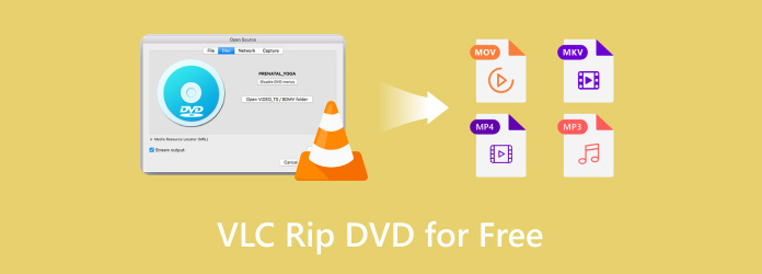 VLC Rip DVD zdarma