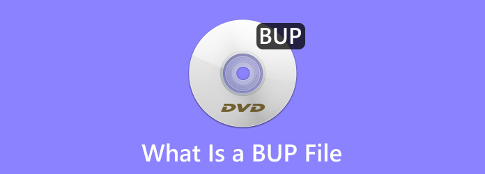 ¿Qué es un archivo BUP?