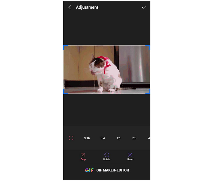 Interfaccia dell'editor Gif Maker Gif