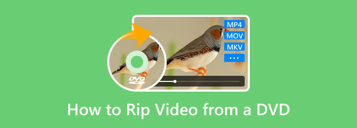 How to Rip Video From a Dvd