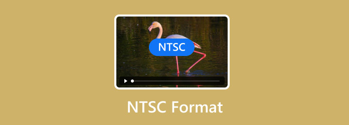 Ntsc-formaat