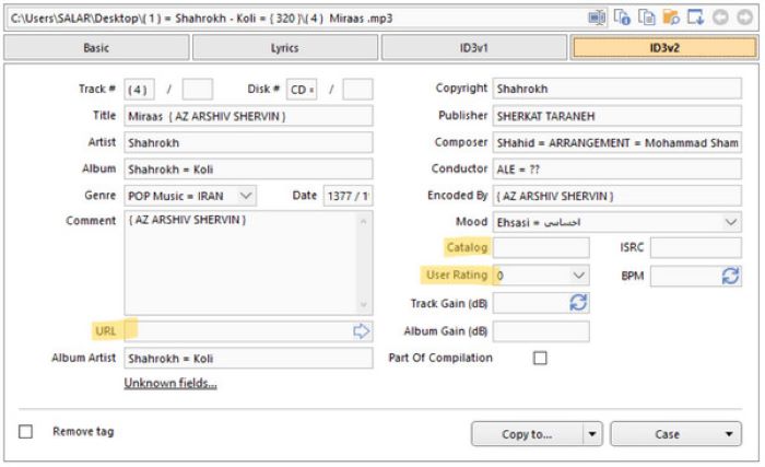 MP3tag Input Tunnisteet